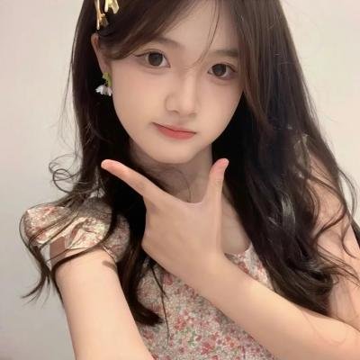 摄影师贝尔蒂与海豚零距离